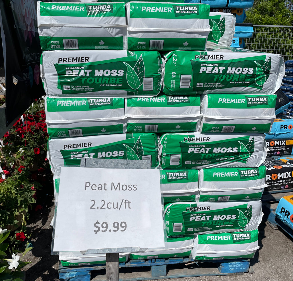 What is peat moss? (and why it's terrible for the environment)